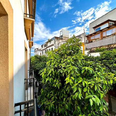 Apartamento San Fernando de la Ribera Córdoba Exterior foto