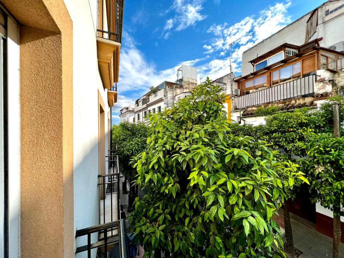 Apartamento San Fernando de la Ribera Córdoba Exterior foto